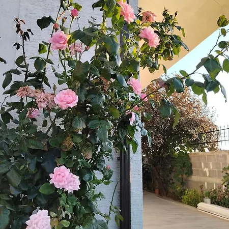 Romantic Maison d'hôtes Korce